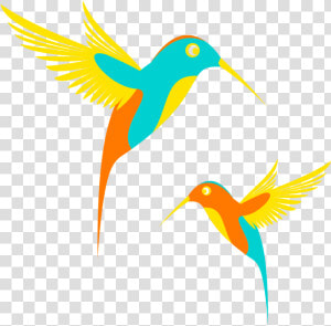 Vector Png   Colibri Clipart  Transparent Png