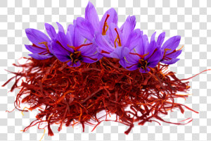 Saffron Png Image File   Kashmir Saffron Flower  Transparent Png