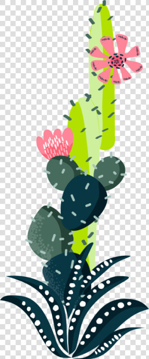 Colorful Cactus Plant Watercolor Hand Painted Transparent  HD Png Download