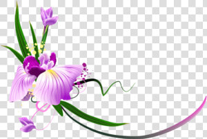 Free Png Download Beautiful Purple Floral Decor Clipart   Border Free Clipart Flowers  Transparent Png