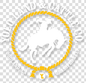 Yolo Land And Cattle Co   S  amp  J  HD Png Download