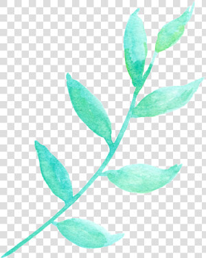 La Luz Del Sol Y La Hoja Verde Cartoon Png Transparente   Flower  Png Download