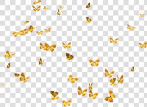 Lots Of Butterflies Png  Transparent Png