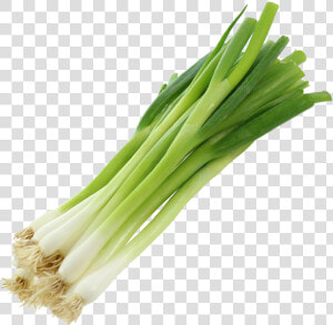 Leek  HD Png Download