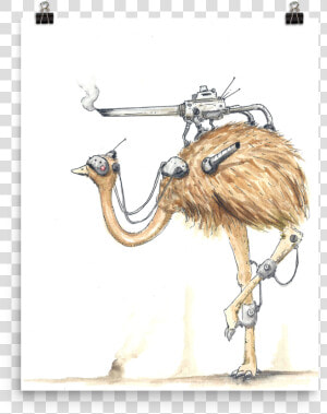 Emu On Plane  HD Png Download