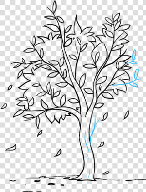 How To Draw Fall Tree   Easy Fall Tree Drawing  HD Png Download