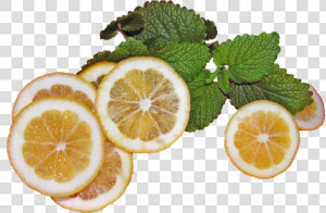 Lemons  With  Lemon  Balm  Refreshment   Lemon  HD Png Download