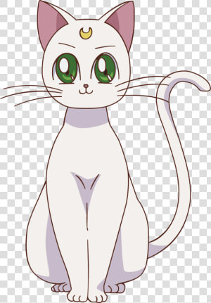 Artemis Sailor Moon Luna  Sailor Jupiter  Sailor Moon   Artemis Sailor Moon Cats  HD Png Download