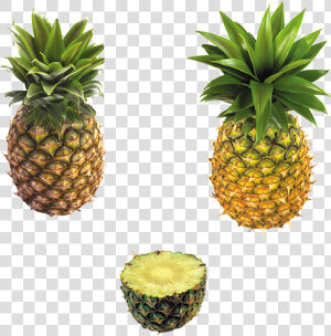 Transparent Abacaxi Png   Ananas Png  Png Download