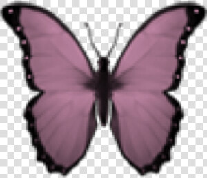  butterfly  kelebek  emoji  smiley  kelebekler  pink   Iphone Butterfly Emoji  HD Png Download