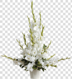 Radiant Gladiolus Arrangement   Radiant Glads Arrangement  HD Png Download