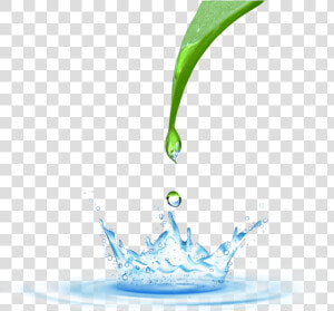 Transparent Water Drop Png   Png Water  amp  Drop  Png Download