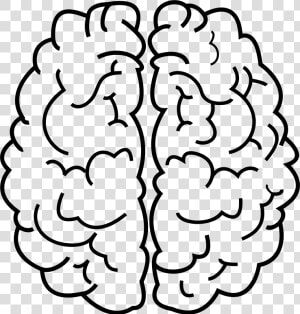 Clipart Brain Imagination   Brain Lineart  HD Png Download