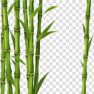 Bamboo Png   Green Bamboo Stick Png  Transparent Png