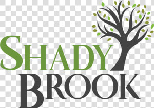 Shady Brook Logo   Tree  HD Png Download