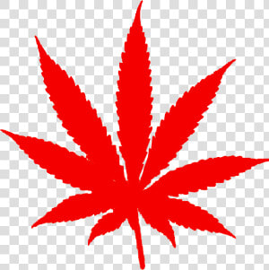 Foglia Di Marijuana Png   Marijuana Leaf  Transparent Png