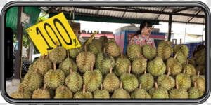 Durian  HD Png Download