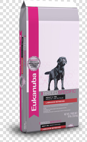 Eukanuba Labrador Retriever Nutrition Dog Food   Eukanuba Labrador  HD Png Download