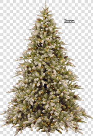 Free Png Fir tree Png Pic Png Images Transparent   Gold Christmas Tree Png  Png Download