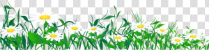 Meadow   Daisies Clipart Png  Transparent Png