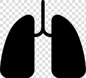 Two Lungs   Lung Icon Png  Transparent Png