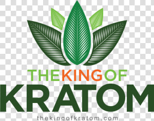 Transparent Kratom Png   Graphic Design  Png Download