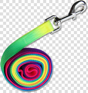 Tie Rope Rainbow   Rainbow  HD Png Download