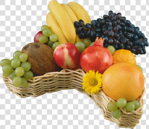 Tube Fruits   Corbeille De Fruits Png  Transparent Png