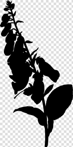 Foxglove Silhouette  HD Png Download