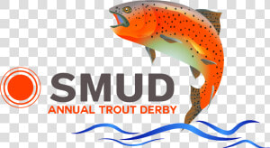 Smud Annual Derby Logo Clipped Rev   Sacramento Municipal Utility District  HD Png Download