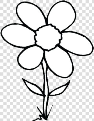 Flower Cliparts Black   Clipart Flower Drawing Black And White  HD Png Download