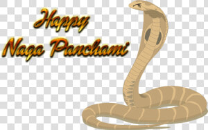 Naga Panchami Free Transparent Images   King Cobra Clip Art  HD Png Download