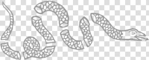 Dont Tread On Me Png  Transparent Png