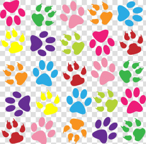 Pawprint Clipart Transparent Background   Colorful Paw Prints Png  Png Download