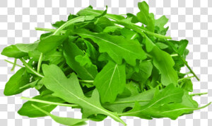 Arugula With White Background  HD Png Download