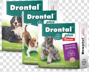 Drontal® Plus Carne   Remedio De Verme Para Cachorro  HD Png Download