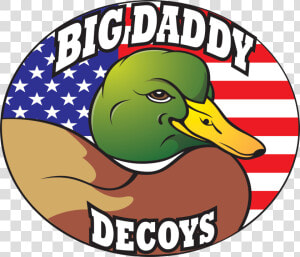 Big Daddy Decoys   Mallard  HD Png Download