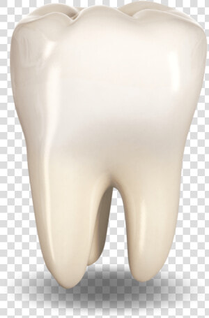 Extracted Tooth Ocala  Fl   Hearing  HD Png Download