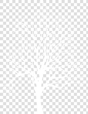 White Tree Silhouette Png   Png Download   White Tree Silhouette Transparent Background  Png Download