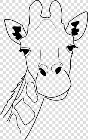 Best Photos Of Giraffe Face Outline Giraffe Head Pattern   Giraffe Head Drawing Easy  HD Png Download