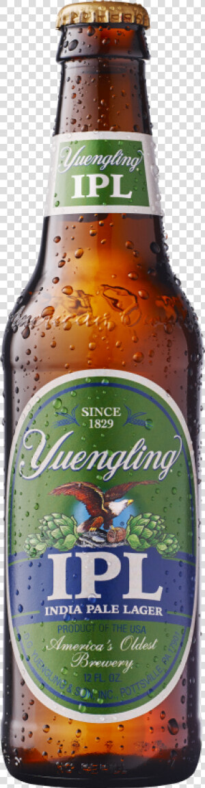 Yuengling Porter  dark Brewed    Yuengling Brewery  HD Png Download