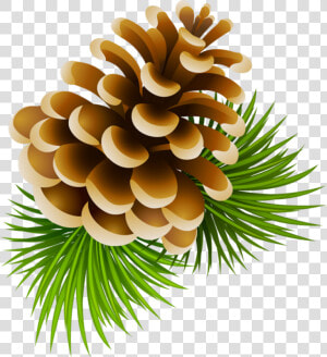 Image Download Clipart Pinecone   Transparent Cartoon Pine Cone  HD Png Download