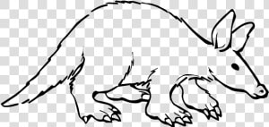 Aardvark Black And White  HD Png Download