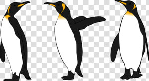 Flightless Bird king Penguin wing   King Penguin Clip Art  HD Png Download