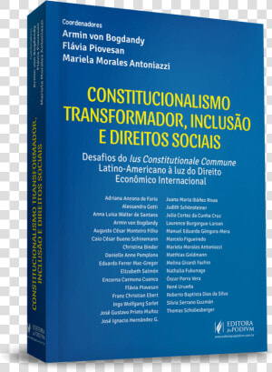 Constitucionalismo Transformador  Inclusão E Direitos   Processo Do Trabalho  HD Png Download