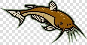 Catfish Cartoon Clipart  HD Png Download