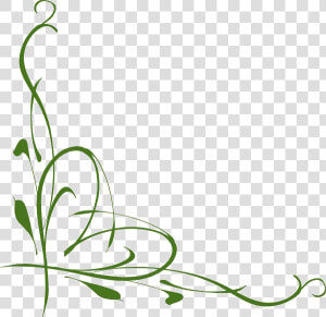 Jungle Vines Png Photo   Vine Heart Clipart  Transparent Png