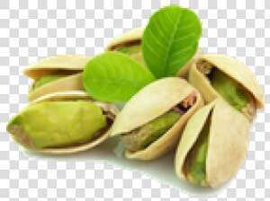 Pistachio Png Transparent Images   Pistachio Transparent  Png Download