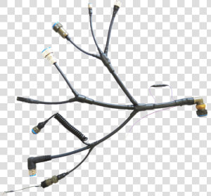 Transparent Electrical Wires Png   Twig  Png Download