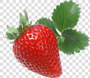 Strawberry Vector Png   Wild Strawberries In Png  Transparent Png